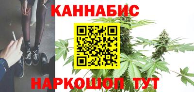 гидра Братск