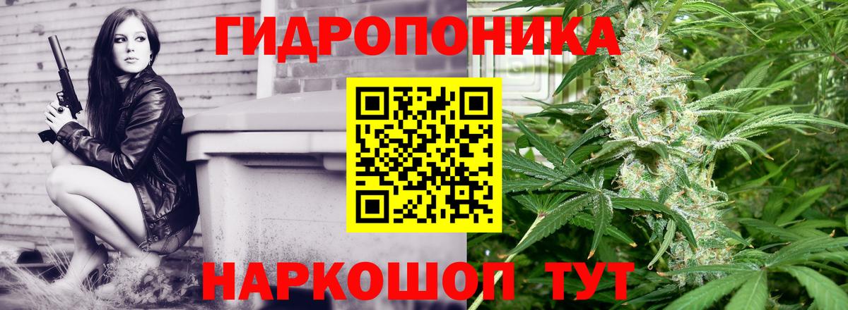 Канабис MAZAR  МАРИХУАНА SATIVA & INDICA  Сургут  Вход с VPN  Бошки марихуана OG Kush 